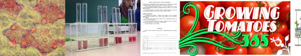 krauts test for lipids